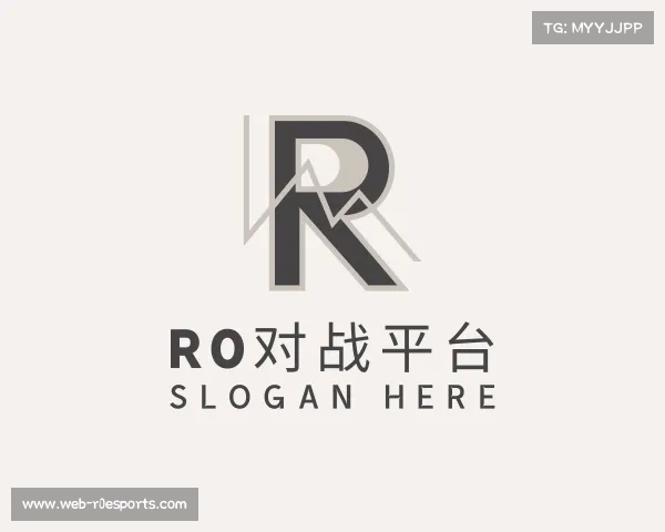 了解r0对战平台